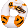 orange dream fire pied ball python