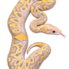 Vanilla GHI Mojave Hypo Desert Ghost Clown